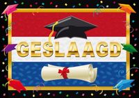 Bellatio Decorations Deurposter geslaagd Nederlandse vlag 59 x 42 cm