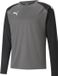 Puma Teamliga Sweater Kinderen - Grijs | Maat: 152