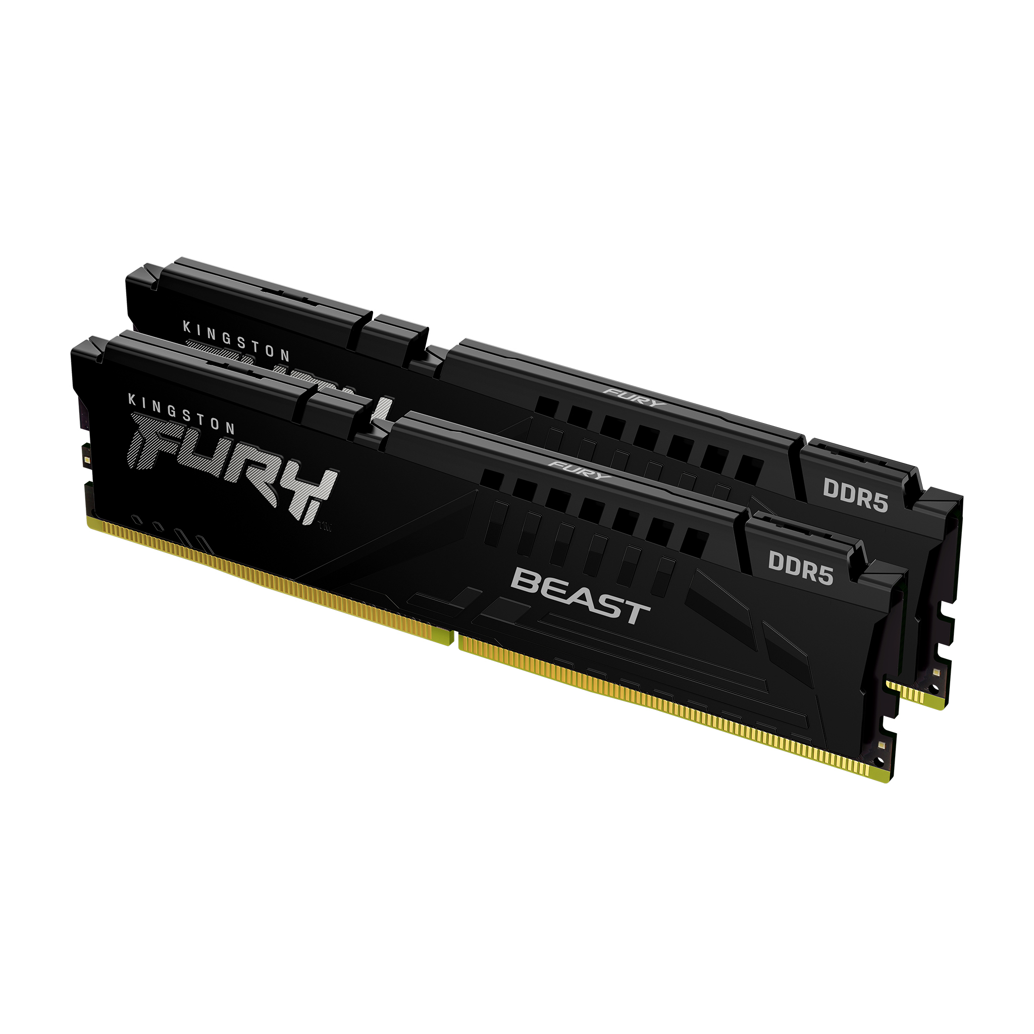 Kingston Technology Beast