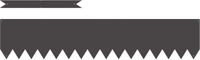 vidaXL Bordure de pelouse - 20 pièces - 100 x 20 cm - Acier - Noir