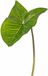 Bellatio Flowers & Plants Kunstplant - tak - bladgroen - Aronskelkblad - 53 cm
