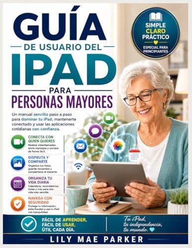 Guía Apple iPad / WiFi / 256GB / Space Gray