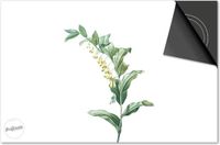 Dietrix Inductie Beschermer - DELUXE - Botanical - 78x52cm