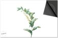 Dietrix Inductie Beschermer - DELUXE - Botanical - 78x52cm