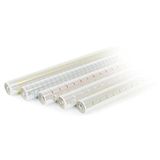 Pryse 3158098 cellofaanfolie met 50 rollen, 0,7 x 1,5 m
