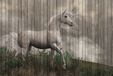 Living Walls Fototapete "Walls by Patel Fantasy 3" glatt Vlies