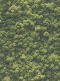 A.S. Création PintWalls II Moswand Behang Natuur - Groen