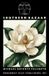 Southern Bazaar Paperback