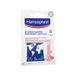 Hansaplast De verzorging van de voeten 6 blaarpleisters hydrocolloïdes klein