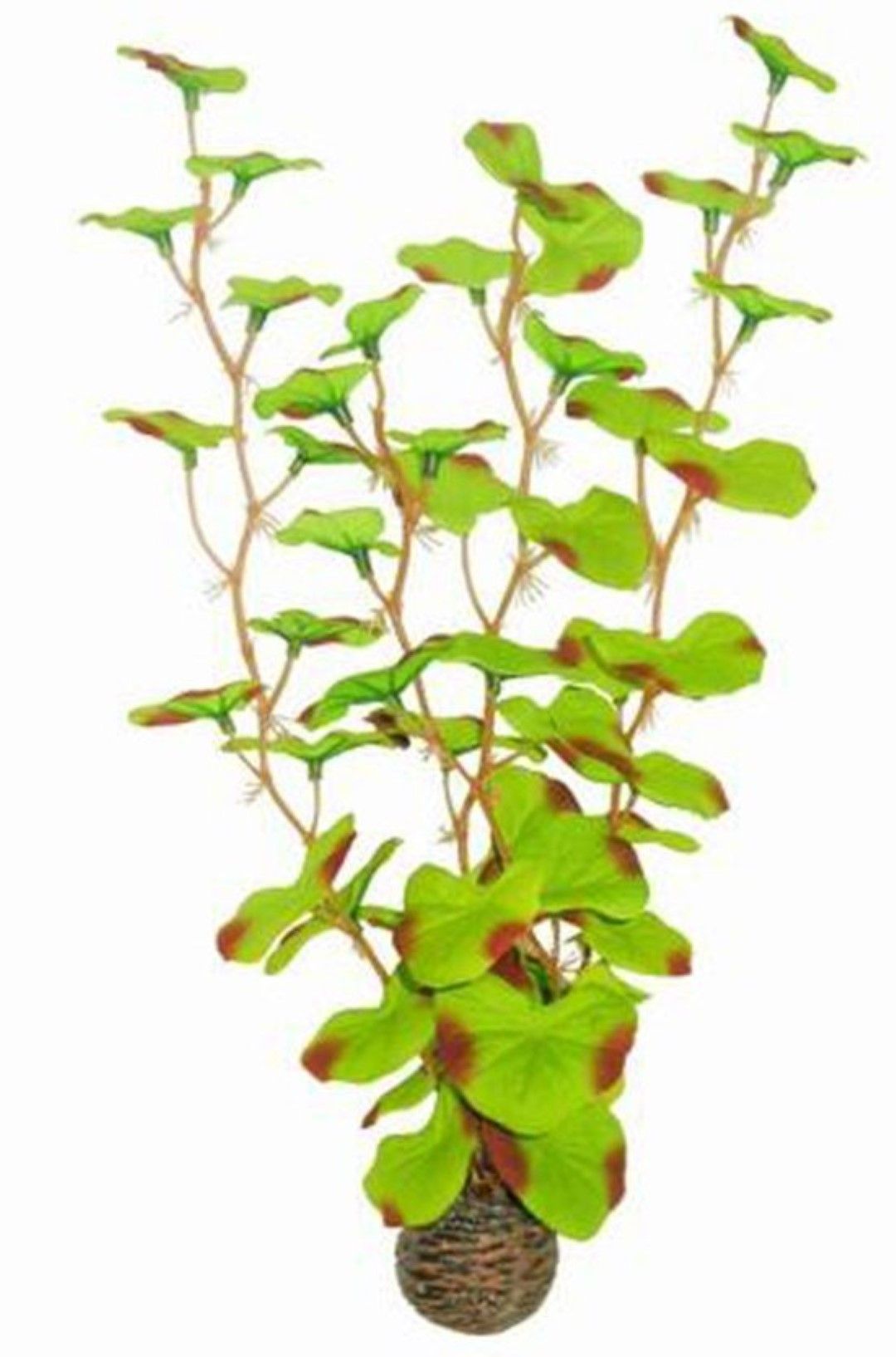 SuperFish easy plants hoog nr. 13, van zijde 30 cm - 1 ST
