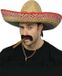 Smiffys 4x stuks mexicaanse sombrero hoed verkleedaccessoire voor volwassenen