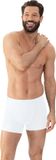 Mey Herren Trunk Shorty Serie Comfort Cotton