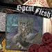 Sonic Rendezvous Spent Flesh - Deviant Burial Customs (7" Vinyl Single) - Standard Edition - Hardrock - Stereo
