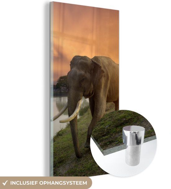 MuchoWow® Glass Painting 20x40 cm - Elephant - Sunset - Acrylic Glass