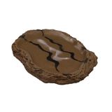Hobby Terrano drinkschaal plat S | M | L L - 20x15x2CM