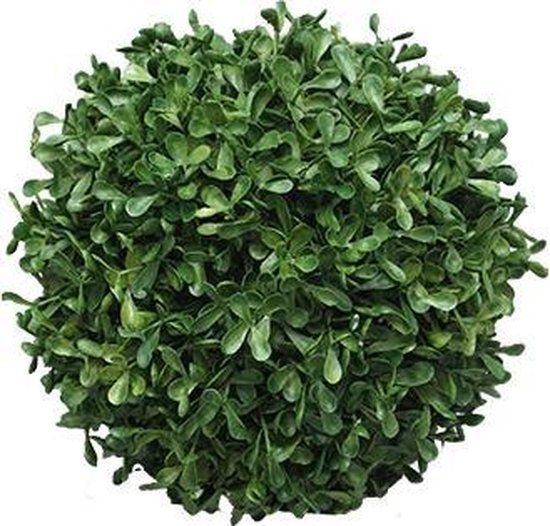 Erutan avon Box Princeville ball 20 cm kunstplant