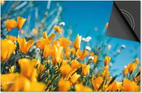 Dietrix Inductie beschermer 60x60 - DELUXE - Bloemen en Planten - Gele bloemetjes