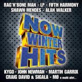 Bertus Distributie Various - Now Winter Hits 2016 CD
