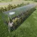 KLASIKA GREENHOUSES KLASIKA Baltic LT Polycarbonaat Tuinkas 3x12m 36m²