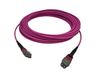 Lanview LVO230410-MTP-2XS InfiniBand en Glasvezelkabel 10 m Violet