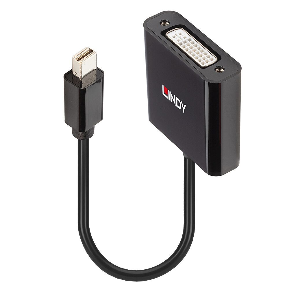 Lindy 41736 Mini DisplayPort naar DVI-D Adapterkabel Zwart