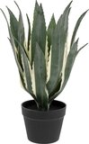 Atmosphera Kunstplant - Amerikaanse Agave met pot - Ø35xH55cm - Groen