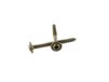 WoodPro Fasteners ST14X212-50PC 1/4-inch bij 2-1/2-inch lengte ronde wasmachine kop buiten houten schroeven, 50-pack