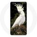 Maniacase Étui pour Huawei P8 Lite Cacatoès perroquets blancs sur l'arbre