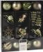 Christmas Decoration Koopman International Christmas Decoration Kerstballen mix - 20-delig - groen - figuren en hangers