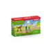 Schleich FARM WORLD Arts bezoekt merrie en veulen 42486