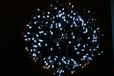 Euronatale Kerstmis, kerstboom, LED wit, 1000 lampen, kabel 2 m, 20 meter