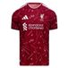 ADIDAS PERFORMANCE Tricot 'FC Liverpool 26/27 Authentic' bourgogne / wit