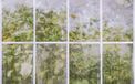 Komar Fotobehang - Secret Stash 400x250cm - Vliesbehang