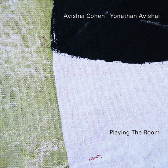 Playing The Room (Vinyl)