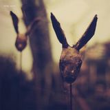 Coast2Coast Still Light Rosarium (3 LP)