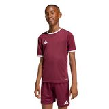 adidas teamwear adidas T-shirt Kinderen Entrada 26 Jersey Bordeauxrood - Maat 128cm