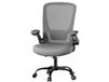 JOYFURNOS Chaise de bureau ergonomique pivotante avec dossier, support lombaire, appui-tête, fonction d'inclinaison et siège de 53 cm de large - Gris