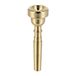 Gear4music Coppergate 3C Trompet Mondstuk Goud
