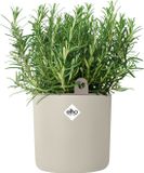 Elho Happy Herbs 15 - Kruidenpot met Waterreservoir - Bloempot van 100% Gerecycled Plastic - Ø 24.5 x H 23.1 cm - Linen white