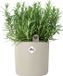 Elho Happy Herbs 15 - Kruidenpot met Waterreservoir - Bloempot van 100% Gerecycled Plastic - Ø 24.5 x H 23.1 cm - Linen white