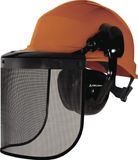 Delta Plus Veiligheidshelm met draadvizier, gehoorbescherming - oranje - One size