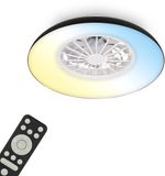 Briloner Windora Plafondventilator met Verlichting - LED, Dimbare Lamp, 5 Snelheden, Zomer/Wintermodus, CCT, Ø48.5 cm, Zwart
