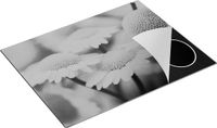 Chefcare Inductie Beschermer Gele Kamille Bloemen - Zwart Wit - 77x59 cm