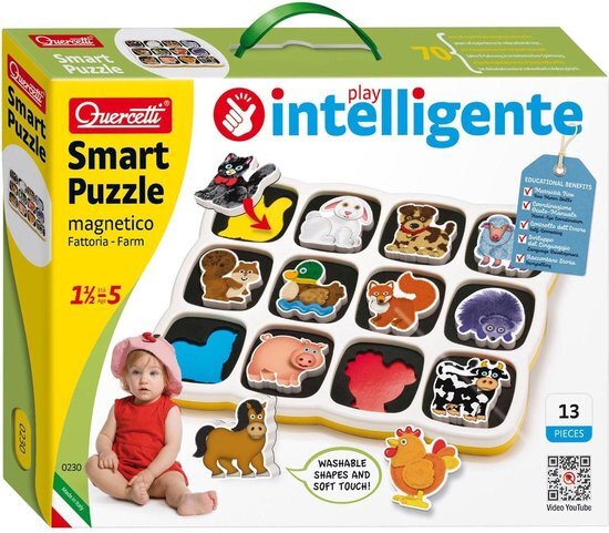 Quercetti Smart Puzzle Magnetico