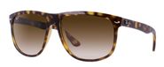 Ray-Ban RB4147 zonnebril Ovaal Schildpad Bruin