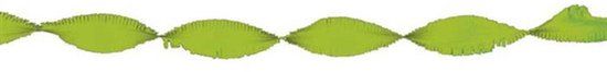 Merkloos / Sans marque Haza-Witbaard Crepe Papier Slinger - Lime Groen - 5 Stuks - 6 Meter
