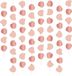 Folat Plafond Slingers Elegant Lush Blush - 8 stuks