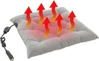 Compass 04115 - Verwarmde autostoel met thermostaat, 12V, PREMIER