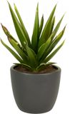 Floran Bloempot - Mat Antraciet Grijs Keramiek - Ø19.5cm - H17cm