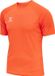 Hummel Hmldavid Jersey S/S Sportshirt XXL Oranje